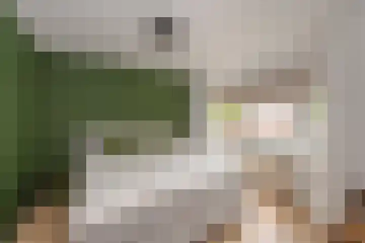 Leenherenstraat 29 Tilburg thumbnail 22
