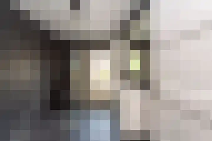 Leenherenstraat 29 Tilburg thumbnail 28
