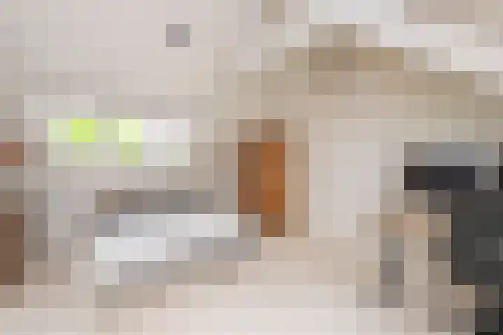 Leenherenstraat 29 Tilburg thumbnail 34