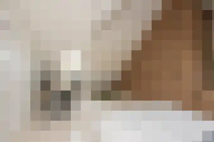 Leenherenstraat 29 Tilburg thumbnail 35