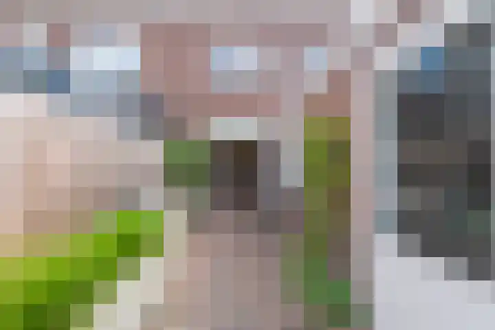 Leenherenstraat 29 Tilburg thumbnail 37