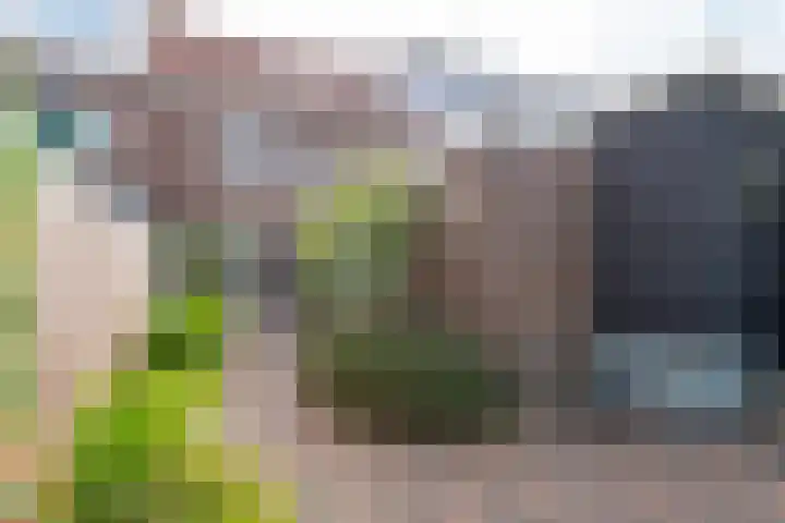 Leenherenstraat 29 Tilburg thumbnail 38