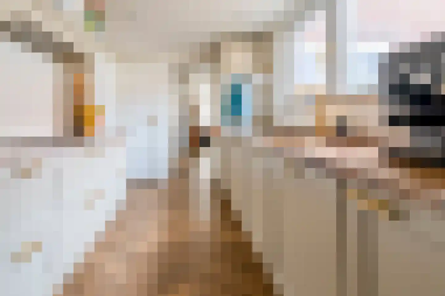 Leenherenstraat 32 Tilburg thumbnail 6