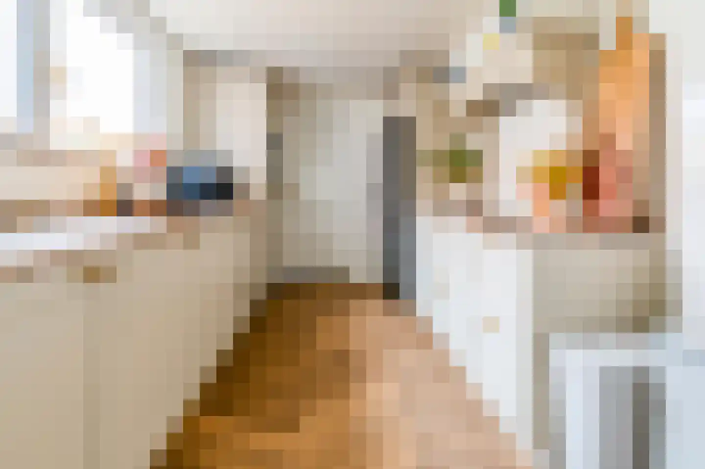Leenherenstraat 32 Tilburg thumbnail 8