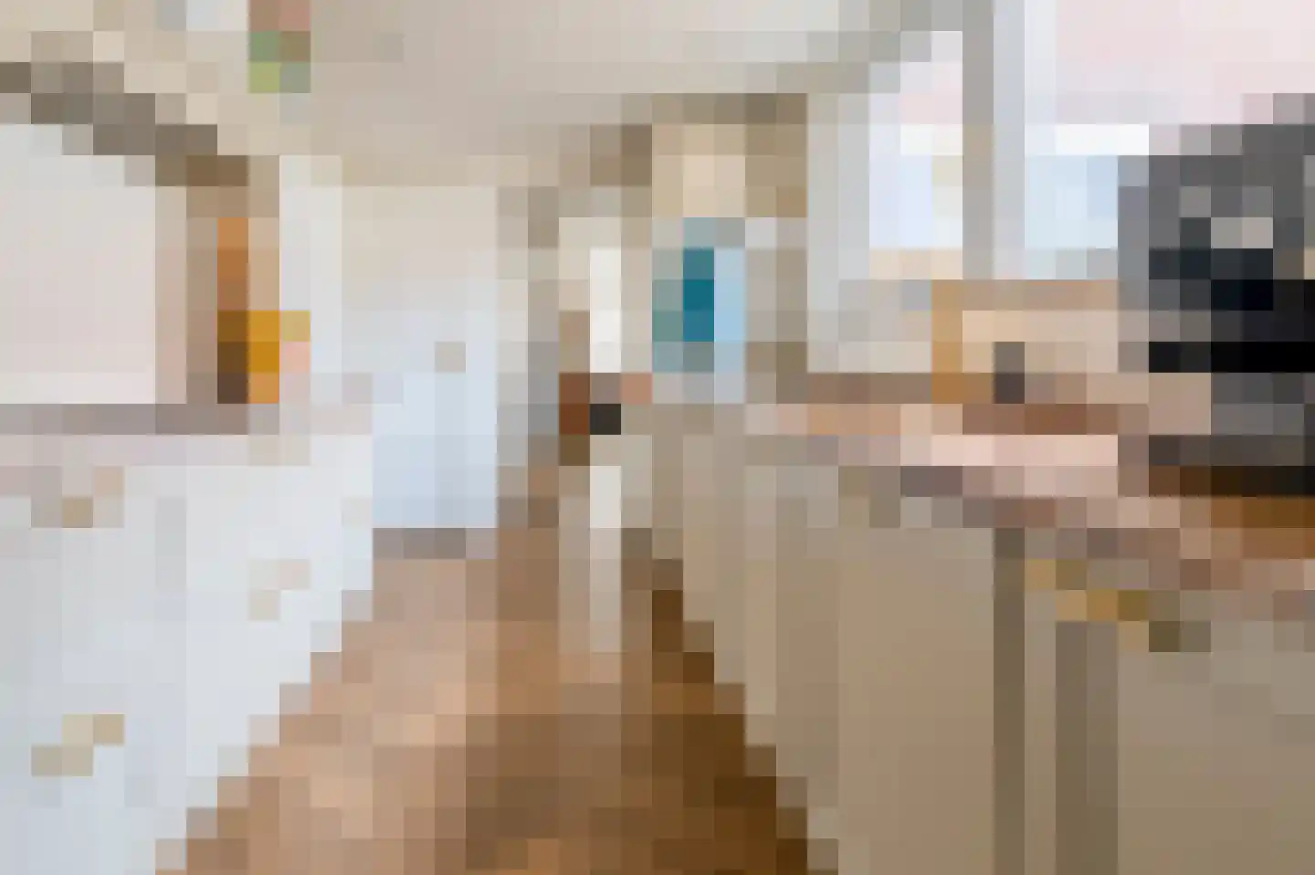 Leenherenstraat 32 Tilburg thumbnail 9