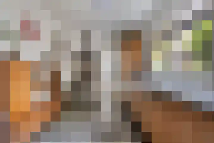 Leenherenstraat 40 Tilburg thumbnail 14