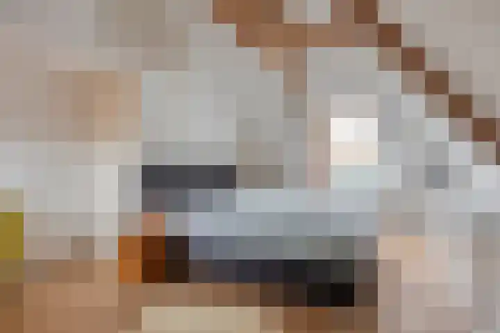 Leenherenstraat 40 Tilburg thumbnail 35