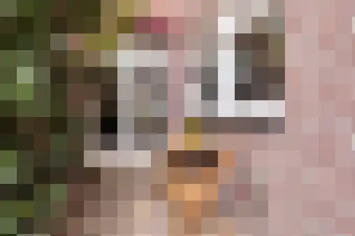 Leenherenstraat 40 Tilburg thumbnail 38