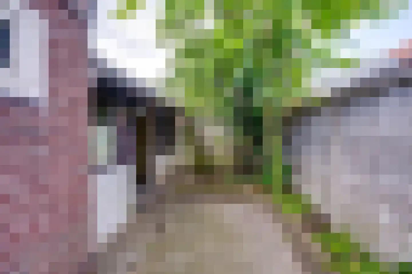 Leenherenstraat 7 Tilburg thumbnail 39