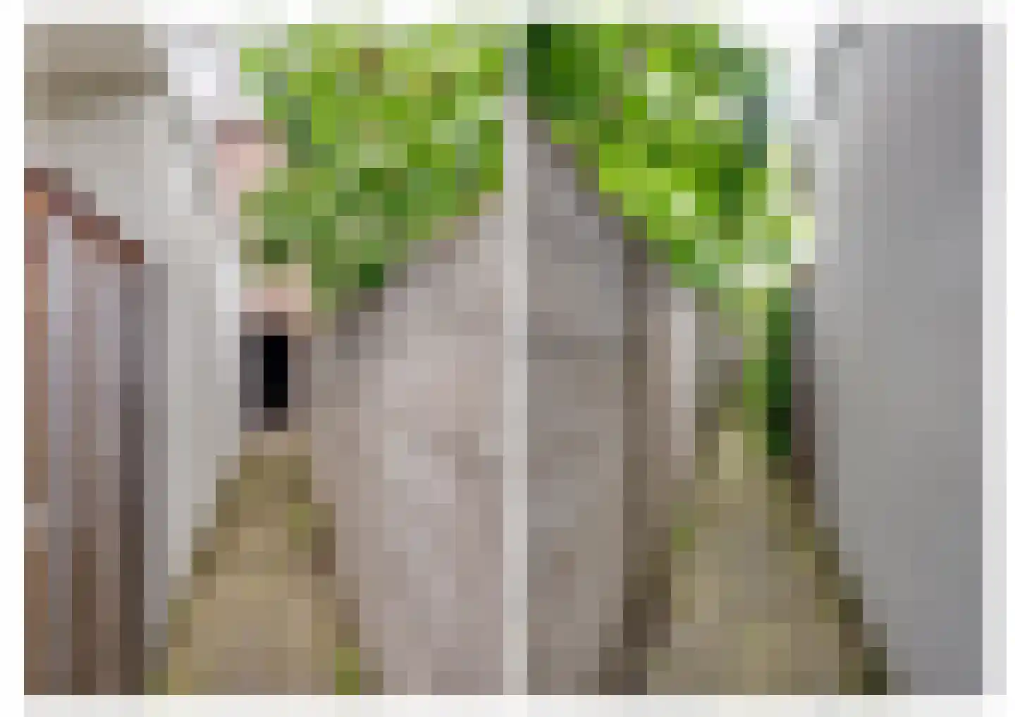 Leenherenstraat 7 Tilburg thumbnail 44