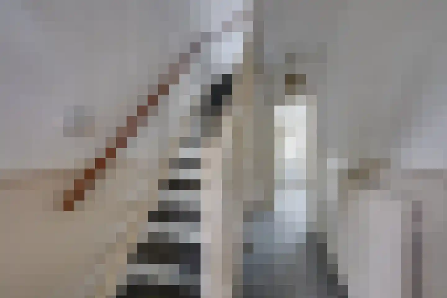 Leenherenstraat 7 Tilburg thumbnail 7