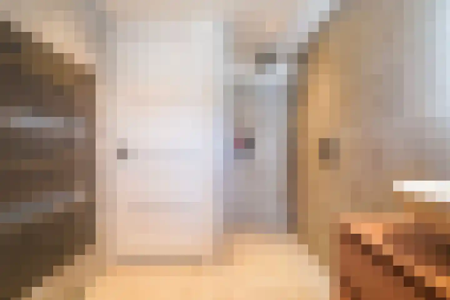 Leenherenstraat 74 Tilburg thumbnail 38