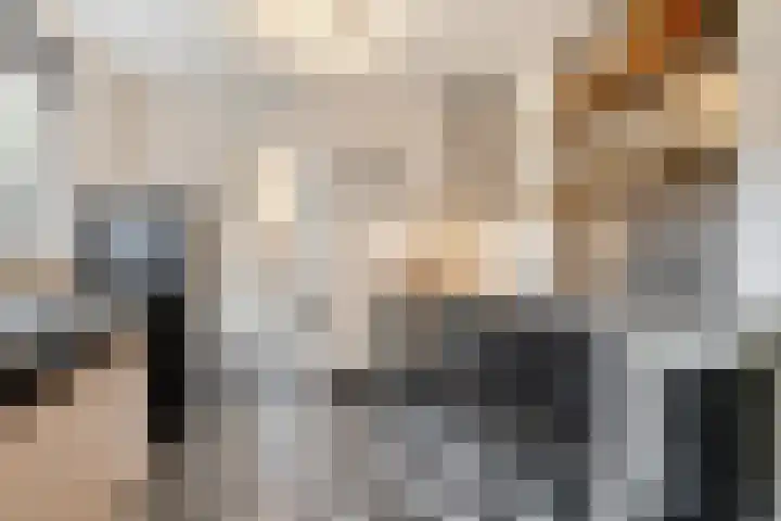 Leenherenstraat 9 Tilburg thumbnail 13