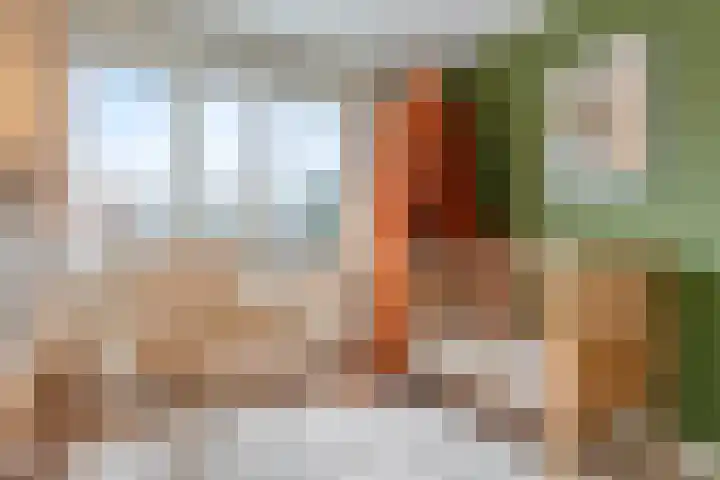 Leenherenstraat 9 Tilburg thumbnail 27