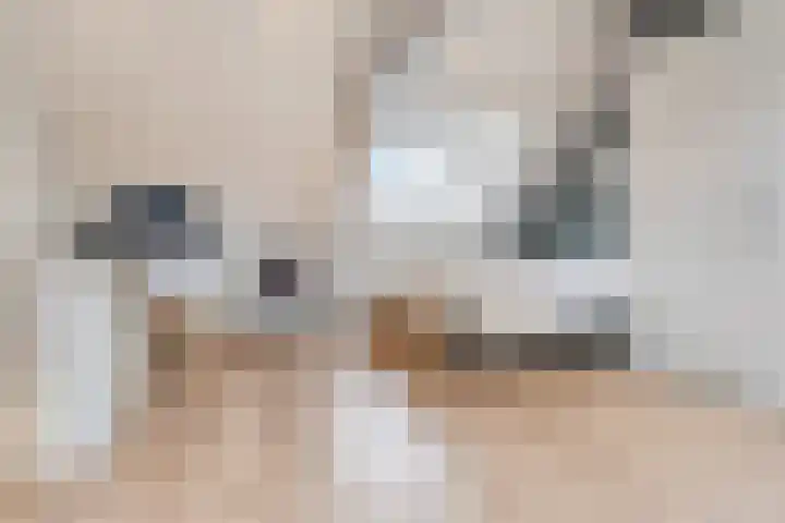 Leenherenstraat 9 Tilburg thumbnail 31
