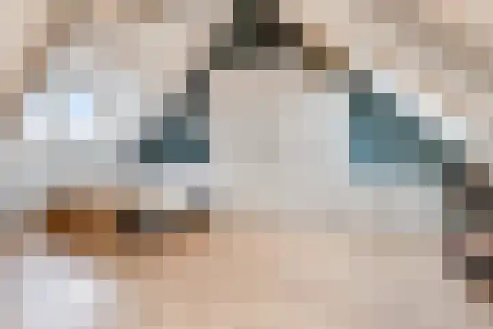 Leenherenstraat 9 Tilburg thumbnail 32