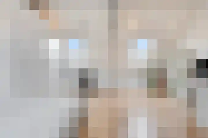 Leenherenstraat 9 Tilburg thumbnail 33