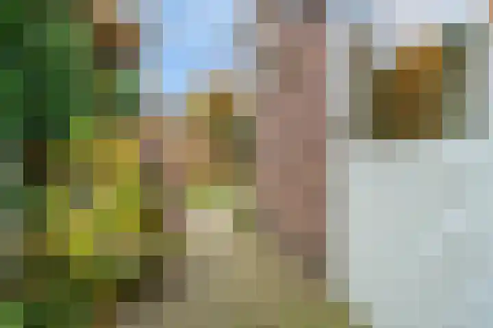 Leenherenstraat 9 Tilburg thumbnail 35