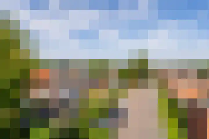Leenhof 67 Weert thumbnail 37