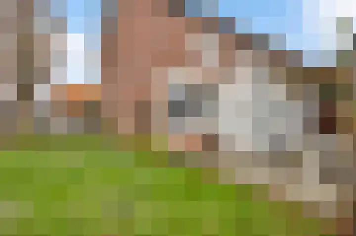 Leenhof 80 Weert thumbnail 31