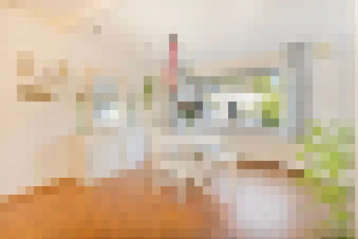 Leenhoflaan 10 Valkenburg thumbnail 11