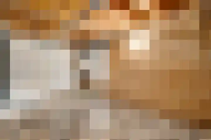 Leenhofplein 1 Baexem thumbnail 17
