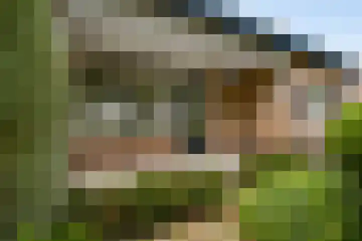Leenhofplein 1 Baexem thumbnail 21