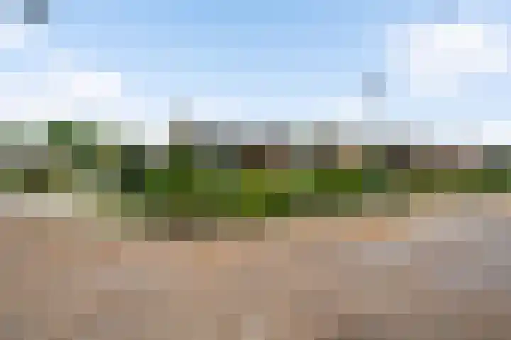 Leenhofplein 1 Baexem thumbnail 24