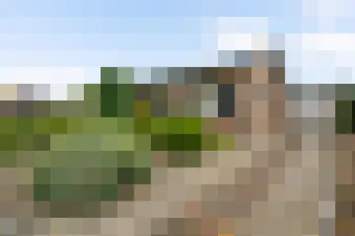 Leenhofplein 1 Baexem thumbnail 29