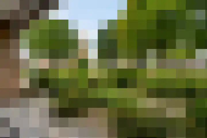Leenhofplein 1 Baexem thumbnail 31