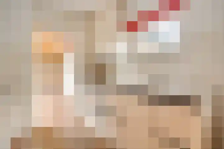 Leenhofplein 1 Baexem thumbnail 8