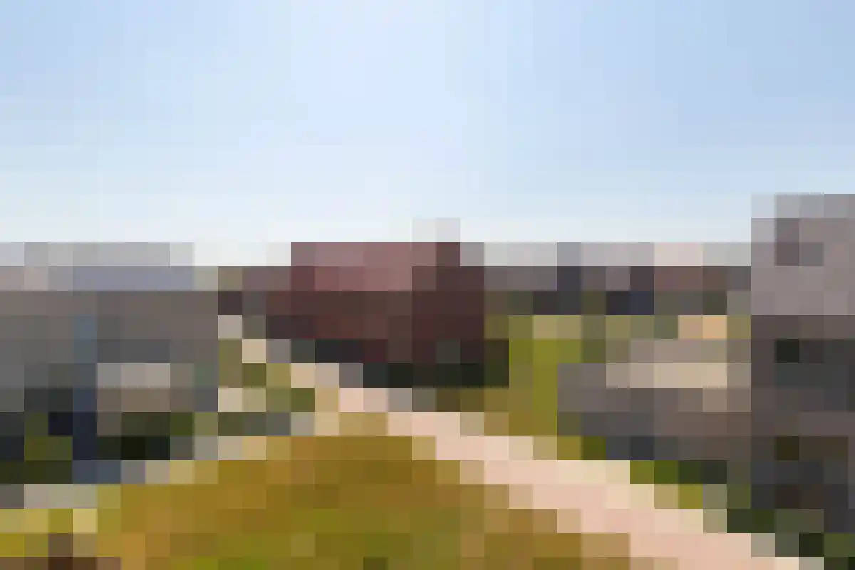 Leenman 20 Warmenhuizen thumbnail 11