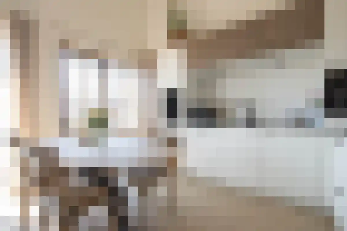Leenman 20 Warmenhuizen thumbnail 14