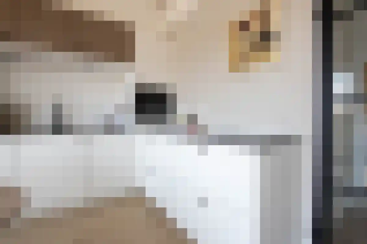 Leenman 20 Warmenhuizen thumbnail 17