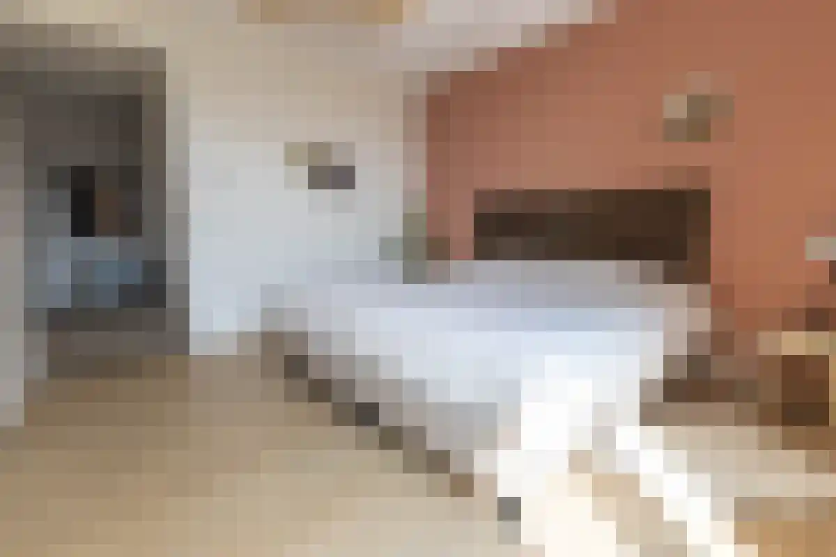Leenman 20 Warmenhuizen thumbnail 21