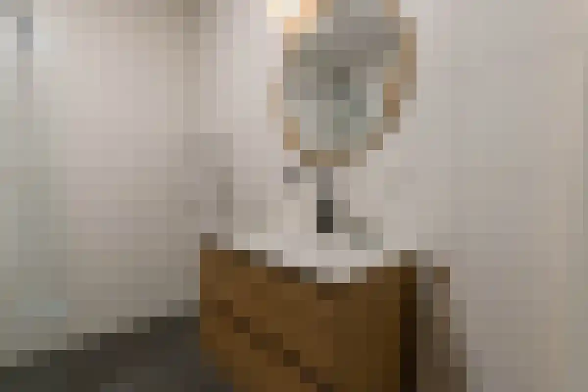 Leenman 20 Warmenhuizen thumbnail 22