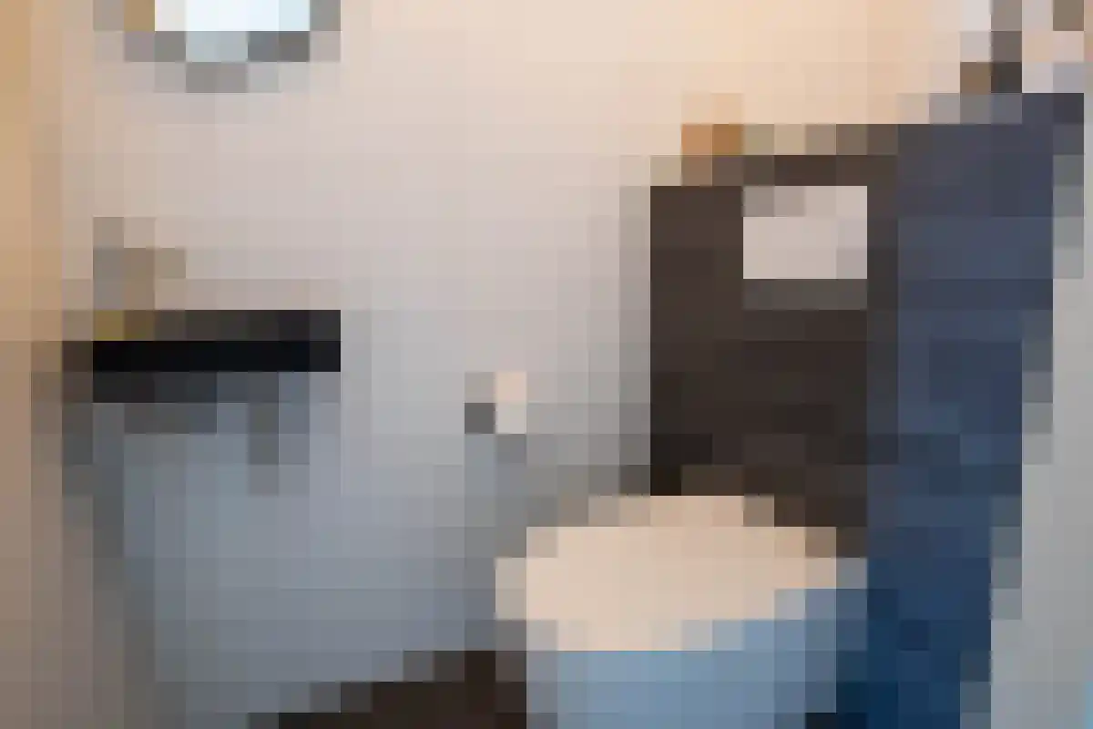 Leenman 20 Warmenhuizen thumbnail 24