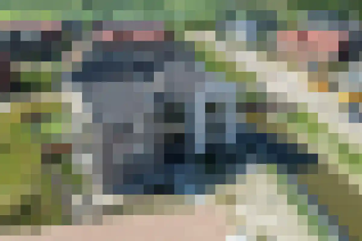 Leenman 20 Warmenhuizen thumbnail 35