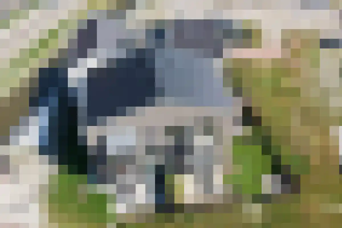 Leenman 20 Warmenhuizen thumbnail 36