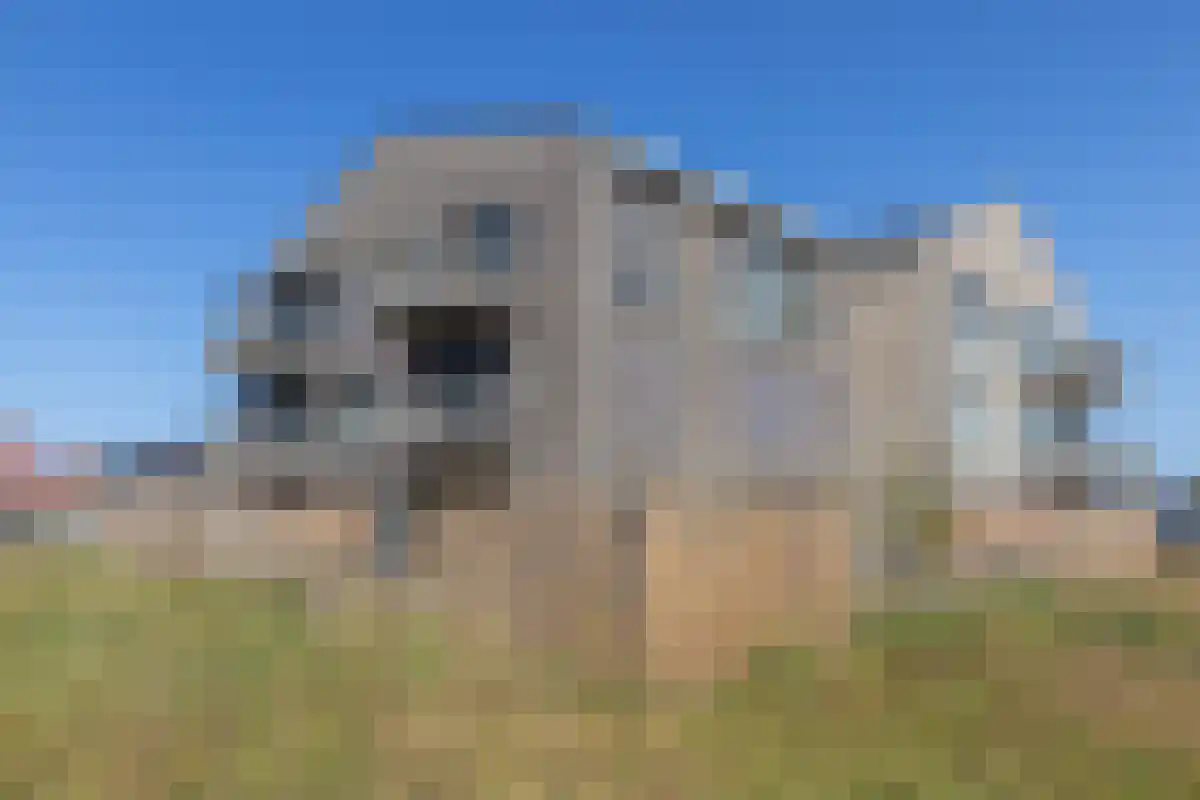 Leenman 20 Warmenhuizen thumbnail 39
