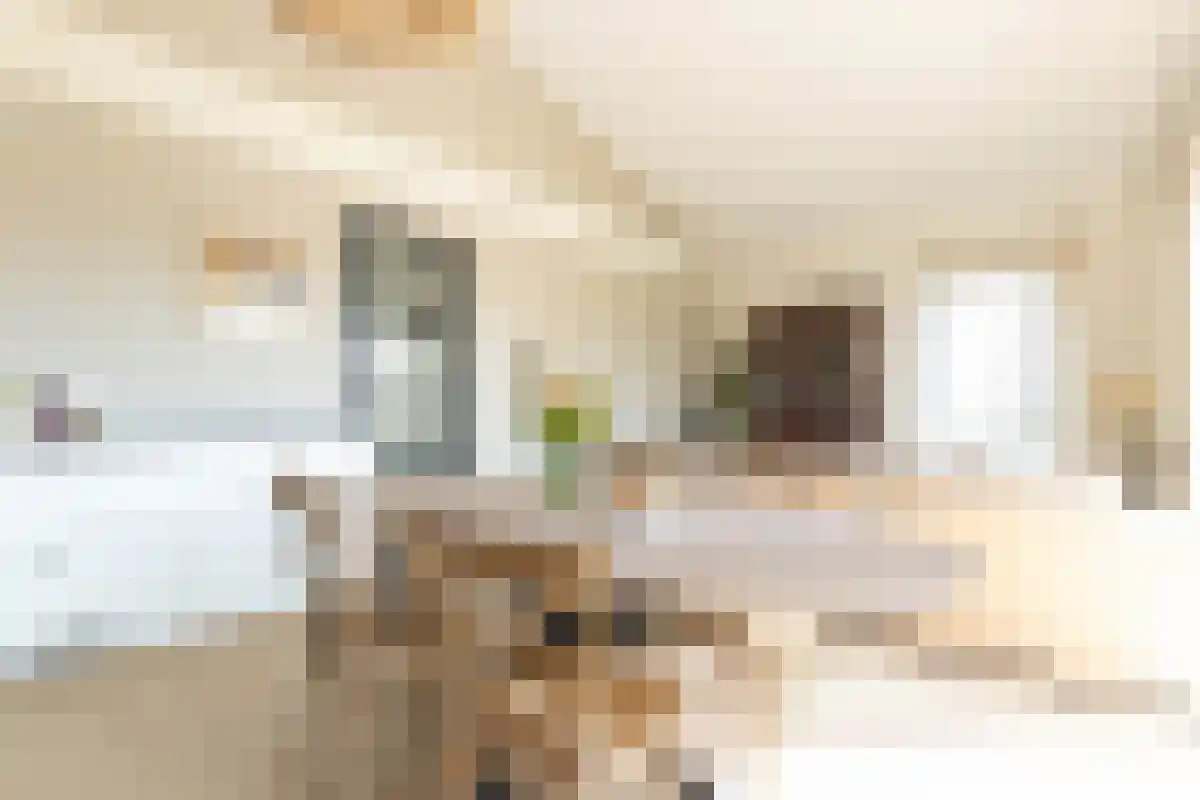 Leenman 20 Warmenhuizen thumbnail 5