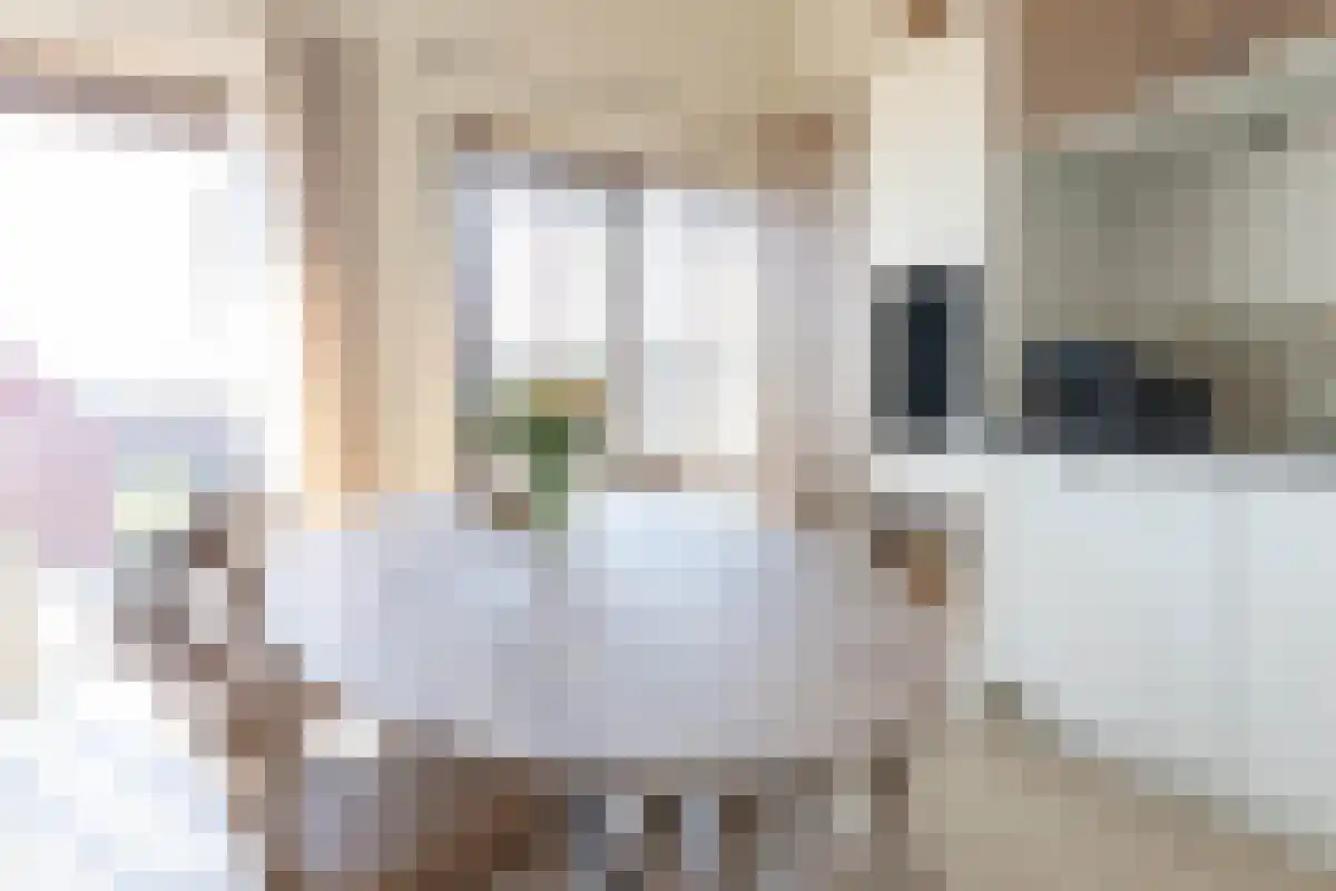 Leenman 20 Warmenhuizen thumbnail 7
