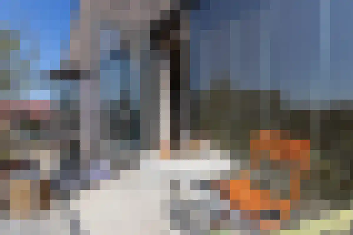 Leenman 20 Warmenhuizen thumbnail 8