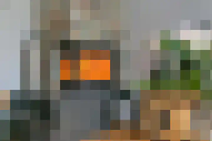Leenman 7 Wijk bij Duurstede thumbnail 10
