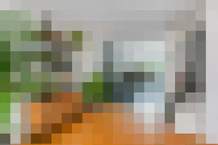 Leenman 7 Wijk bij Duurstede thumbnail 11