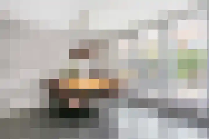 Leenman 7 Wijk bij Duurstede thumbnail 13