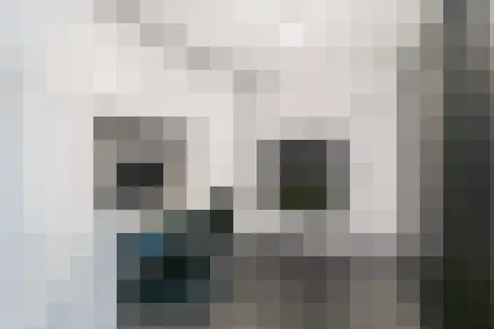 Leenman 7 Wijk bij Duurstede thumbnail 18