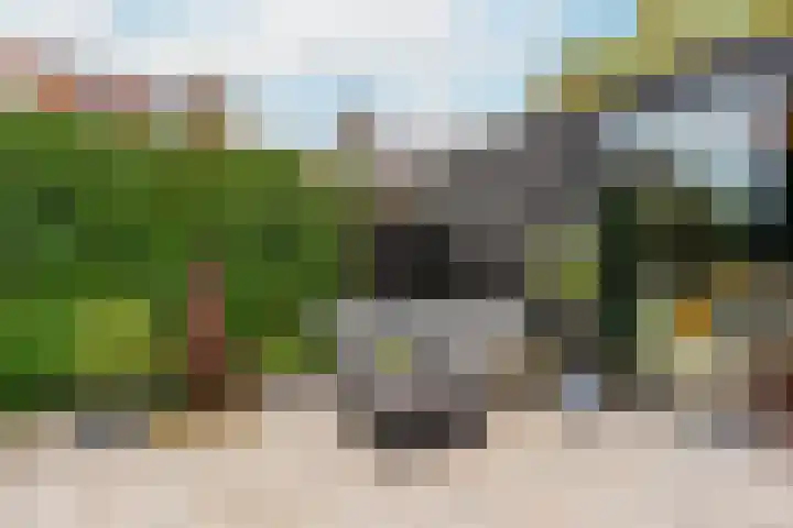 Leenman 7 Wijk bij Duurstede thumbnail 23