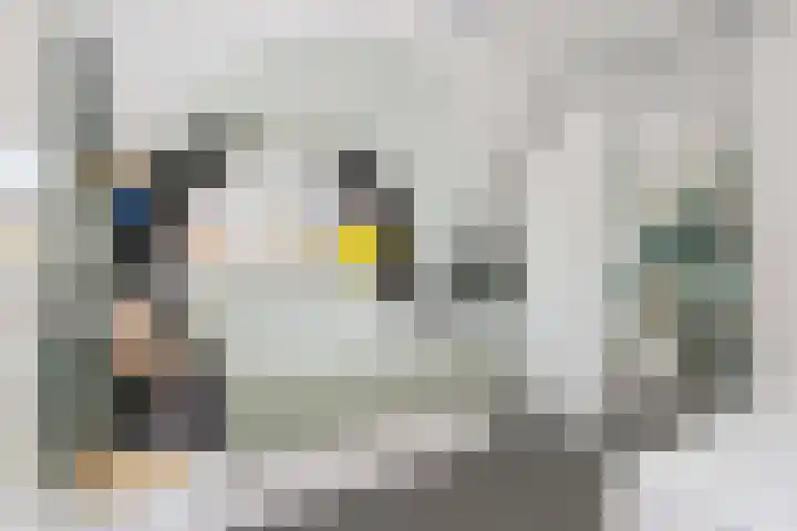 Leenman 7 Wijk bij Duurstede thumbnail 30