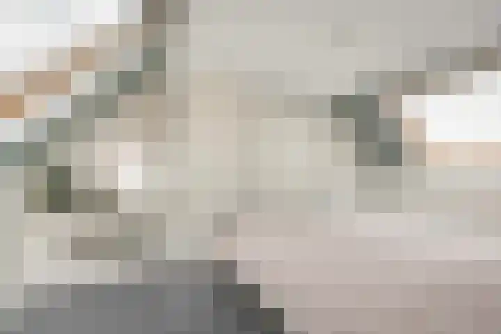 Leenman 7 Wijk bij Duurstede thumbnail 38